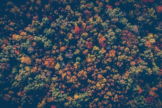 NYC Fall Foliage Cruise - FAQ