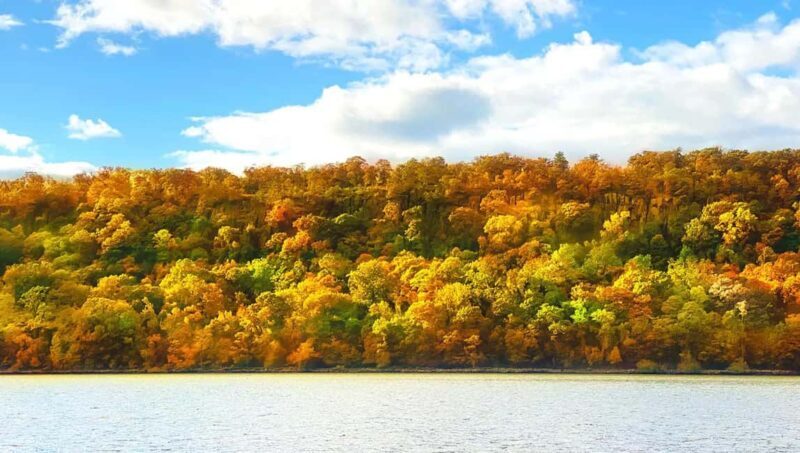 NYC: Fall Foliage Cruise with Live Guide - FAQ