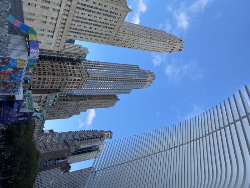 NYC | French guided tour Southern Manhattan - A Walk Through Lower Manhattan: What to Expect