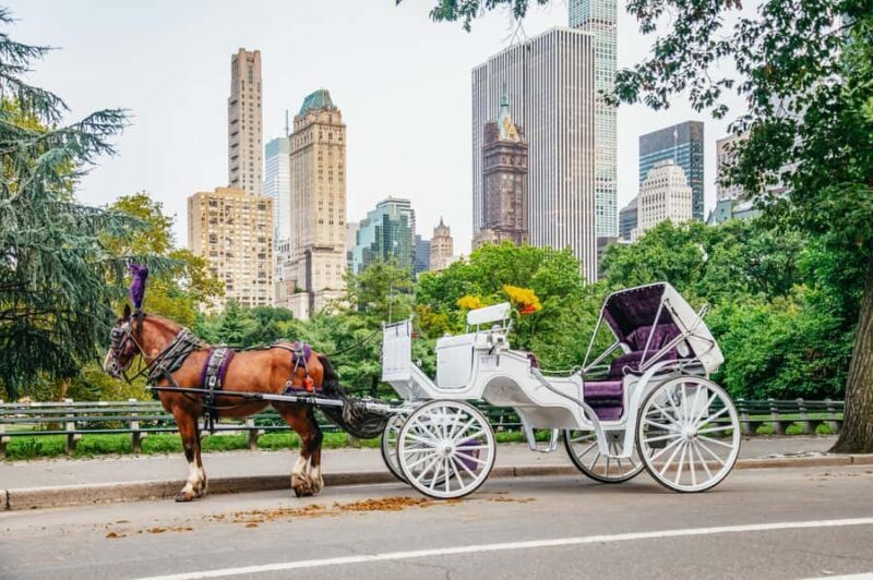NYC: Guided Central Park Horse Carriage Ride - A Truly Scenic and Well-Organized Tour of Central Park