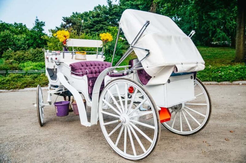 NYC: Guided Central Park Horse Carriage Ride - The Sum Up: Is It Worth It?