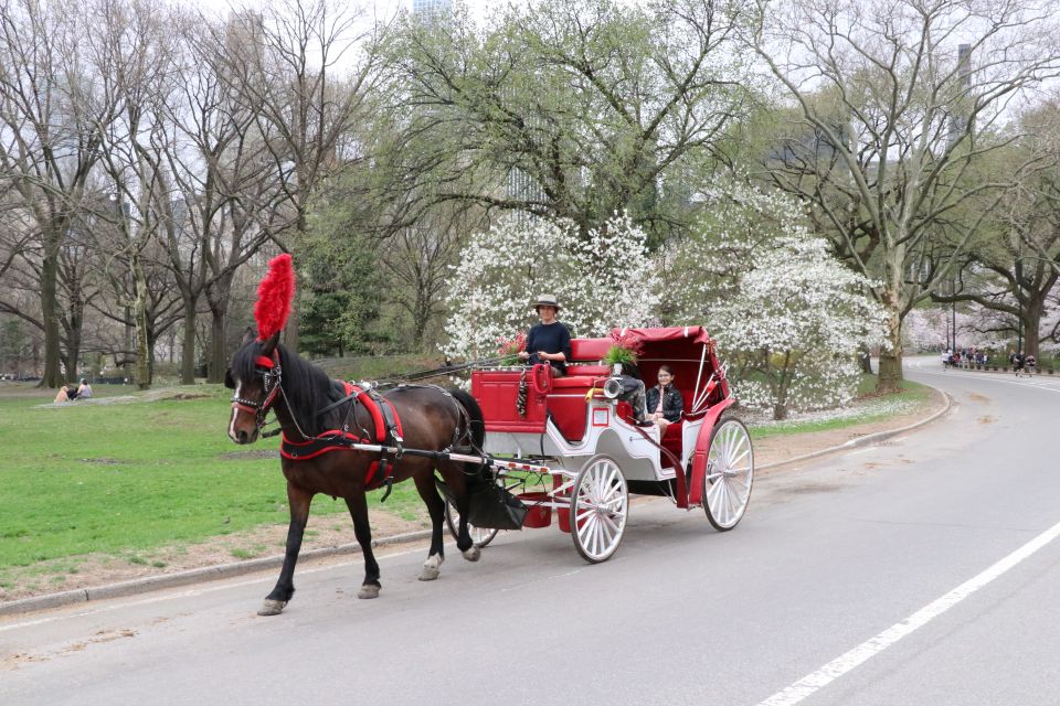 NYC: Guided Standard Central Park Carriage Ride (4 Adults) - Itinerary Overview