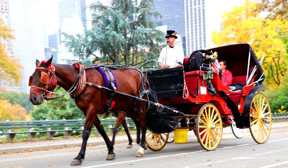 NYC: Guided Standard Central Park Carriage Ride (4 Adults) - Landmarks and Attractions