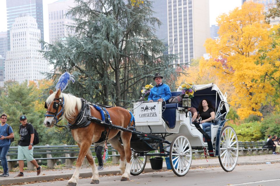 NYC: Guided Standard Central Park Carriage Ride (4 Adults) - Scenic Drive Through