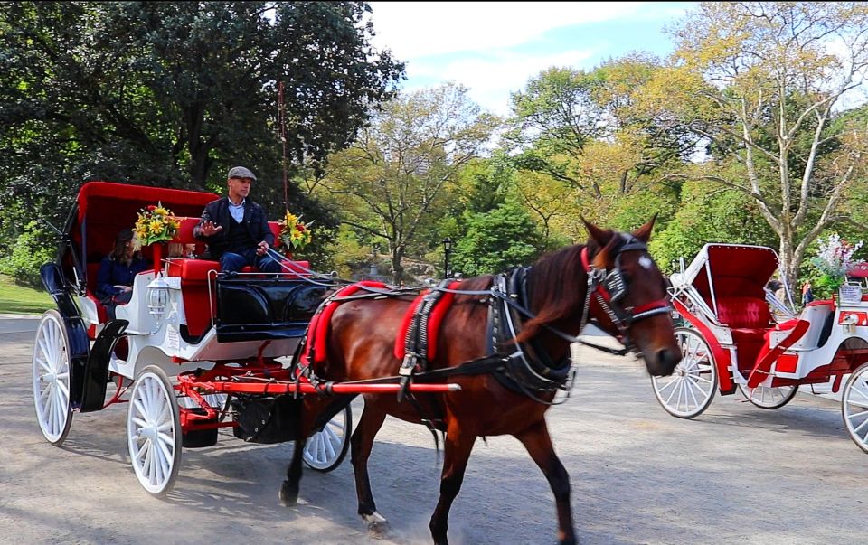 NYC: Guided Standard Central Park Carriage Ride (4 Adults) - Professional Guide and Service