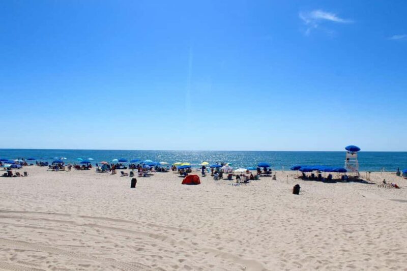 NYC: Hamptons Private Day Tour - What to Expect from the NYC: Hamptons Private Day Tour
