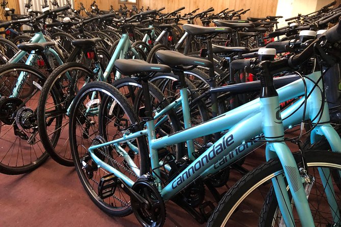 NYC Harlem and Bronx Bike Tour - Accessibility Information