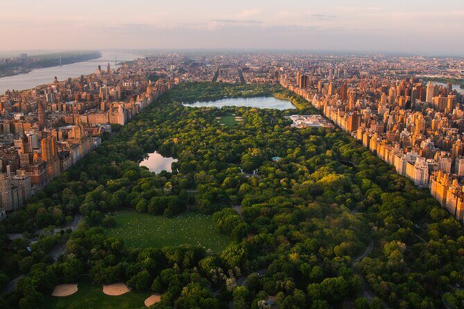 NYC Highlights in 4 Hours: Times Square, Central Park & 5th Ave - Real Traveler Feedback and Insights