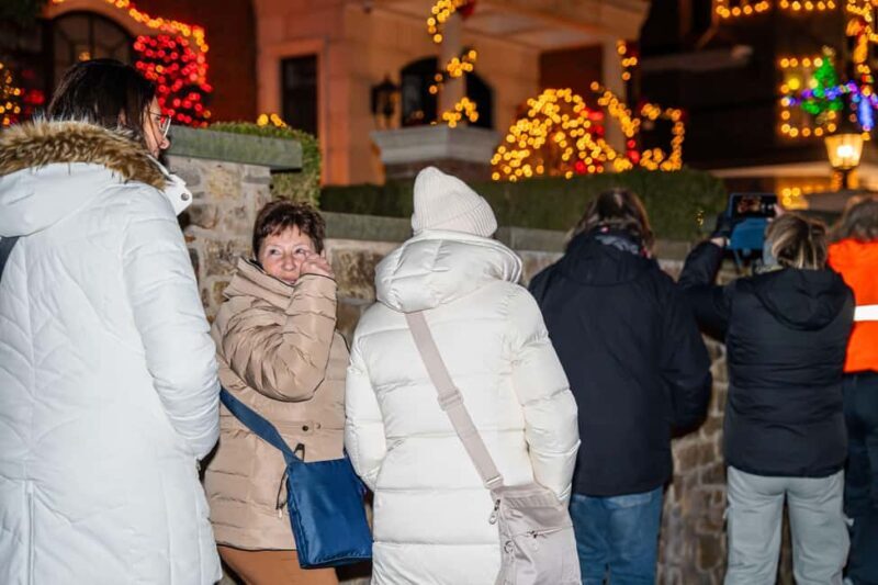 NYC: Holiday Lights and Dyker Heights Luxury Bus Tour - The Sum Up