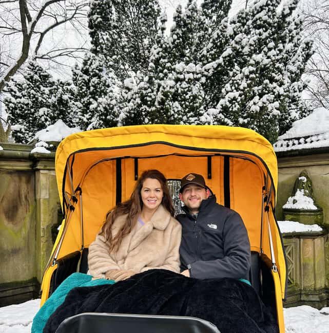 NYC: Home Alone 2 & Elf Locations Tour in Central Park Tour - A Detailed Look at the Tour Experience