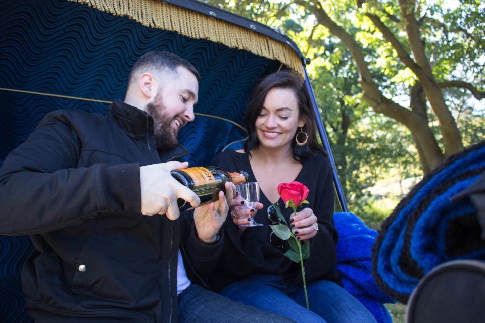 NYC Horse Carriage Ride in Central Park (65 Min) - Itinerary Highlights