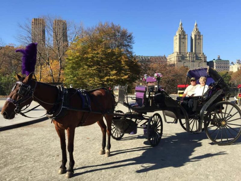 NYC: Long Central Park Horse Carriage Ride with Photo Stop - Exploring the Itinerary in Detail