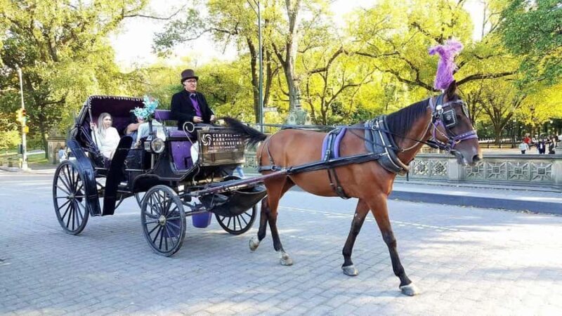 NYC: Long Central Park Horse Carriage Ride with Photo Stop - Authentic Traveler Insights