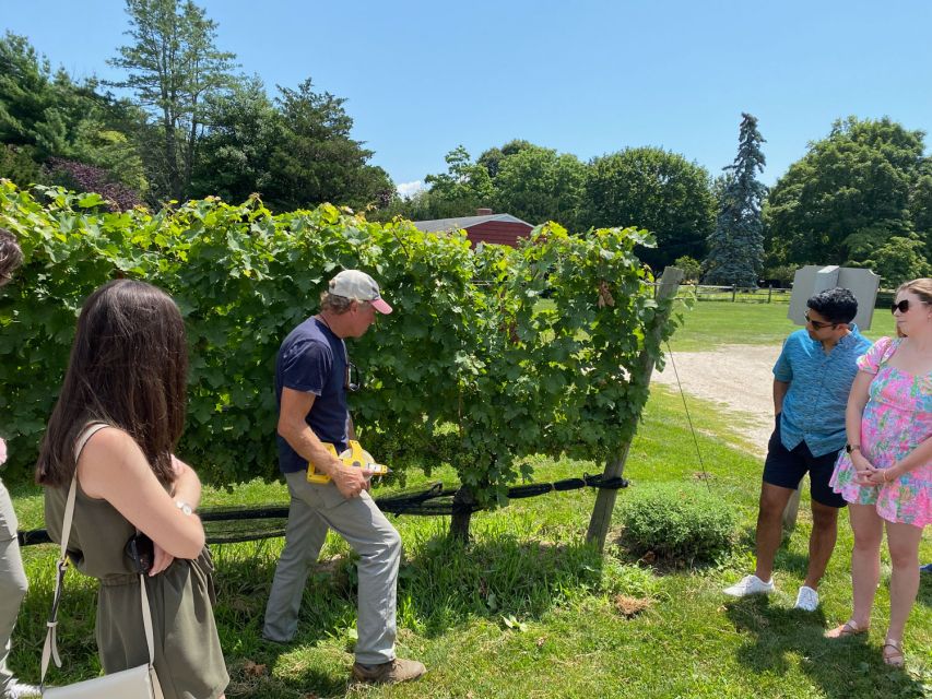 NYC: Long Island Sommelier-Guided Wine Tasting Tour - Highlights of the Tour