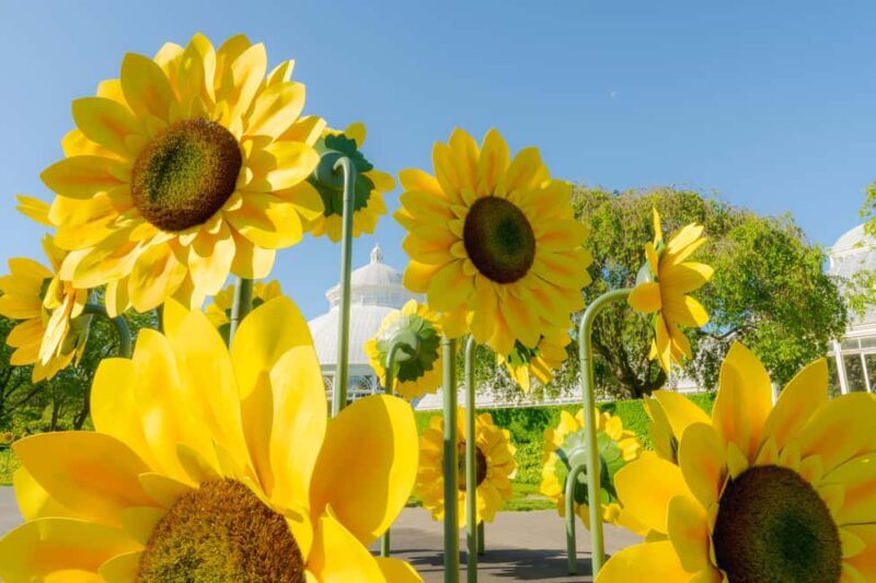 NYC: New York Botanical Garden Pass - Key Points