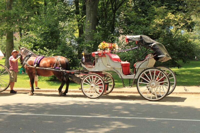 NYC Private Central Park Horse Carriage Ride with Guide - Key Points