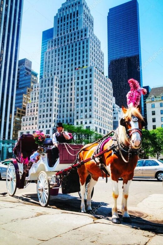 NYC Private Central Park Horse Carriage Ride with Guide - An Overview of the Experience