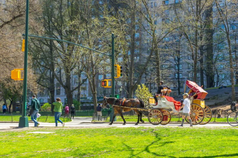 NYC Private Central Park Horse Carriage Ride with Guide - The Ride’s Atmosphere and Comfort