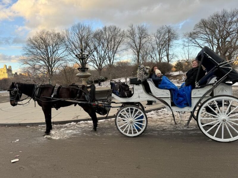 NYC Private Central Park Horse Carriage Ride with Guide - Practical Details and Logistics