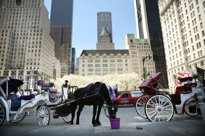 NYC Private Central Park Horse Carriage Ride with Guide - Who Will Love This Tour?