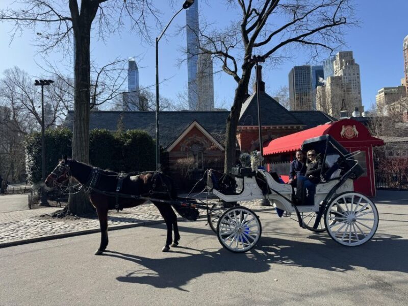 NYC Private Central Park Horse Carriage Ride with Guide - FAQs