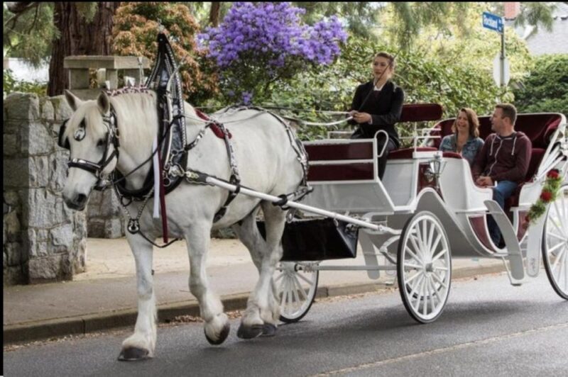 NYC: Private Central Park Horse Carriage Ride with Guide - An In-Depth Look at the Experience