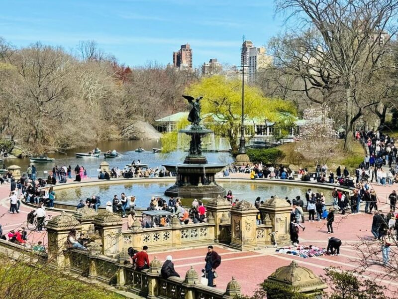 NYC: Private Central Park Pedicab Tours / PICKUP FROM MUSEUM - FAQs