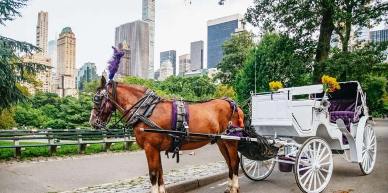 NYC: Private Christmas Lights Horse Carriage Ride - Introducing the Experience