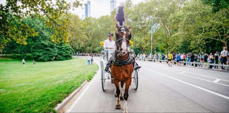 NYC: Private Christmas Lights Horse Carriage Ride - Key Points