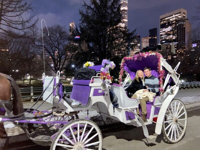 NYC: Private Christmas Lights Horse Carriage Ride - An In-Depth Look at the Experience