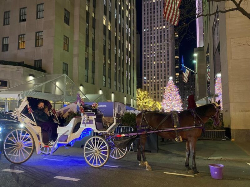 NYC: Private Christmas Lights Horse Carriage Ride - Frequently Asked Questions