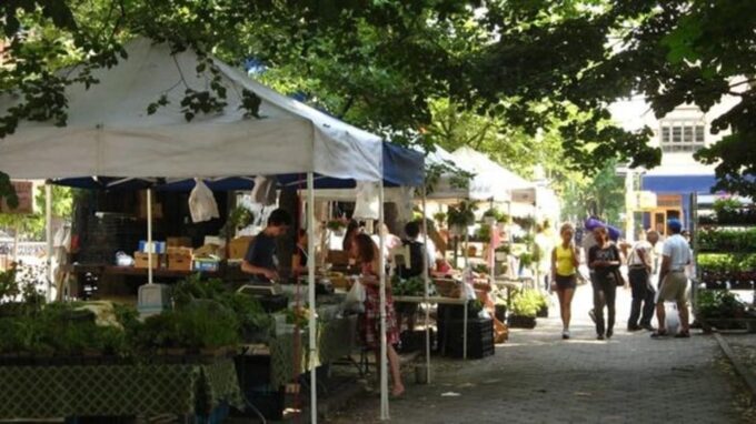 NYC: Soho, Little Italy and Chinatown Private Walking Tour - Customization Options