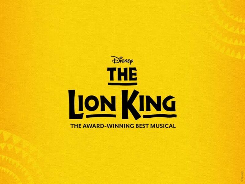 NYC: The Lion King on Broadway - Key Points