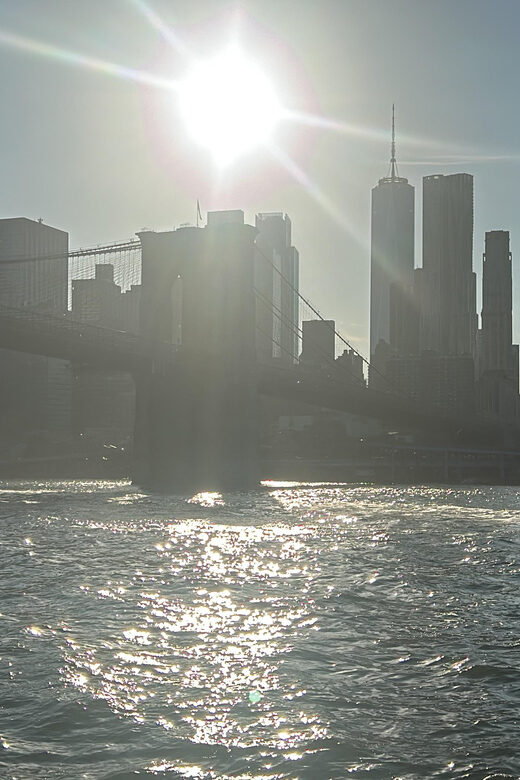 NYC Views from Brooklyn Bridge & DUMBO with Ferry Tickets - Who This Tour Is Best For