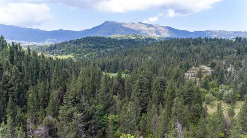 Nydri: Discover Local Culture, History & Beauty Guided Hike - Final Thoughts