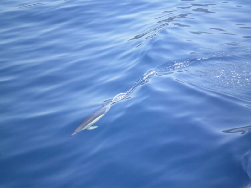 NYDRI: Wooden Boat Cruise to Meganisi & Scorpio - Lefkada - Final Word