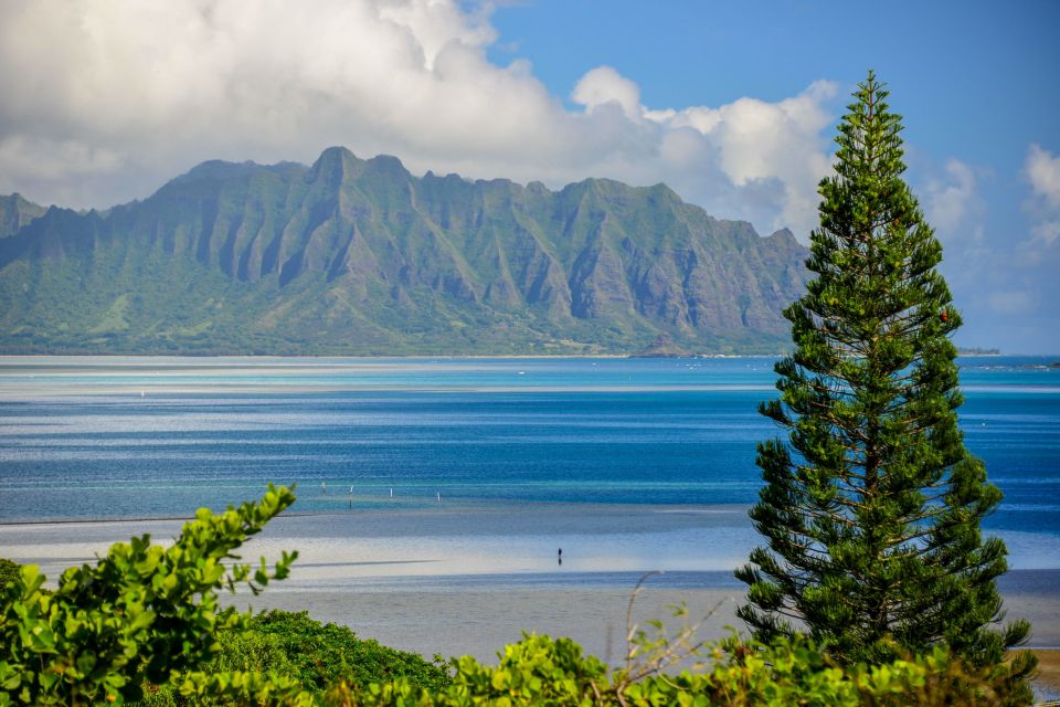 Oahu: 10-Hour Sunrise & Scenic View Points Photo Tour - Requirements for Participants