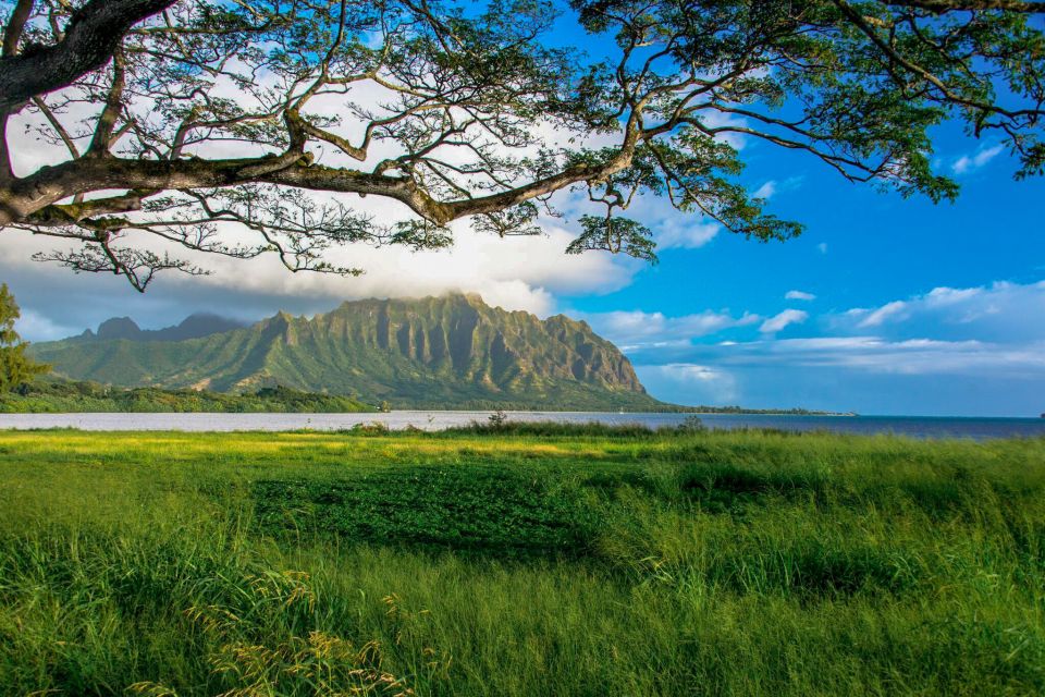 Oahu: 10-Hour Sunrise & Scenic View Points Photo Tour - Capturing Memories