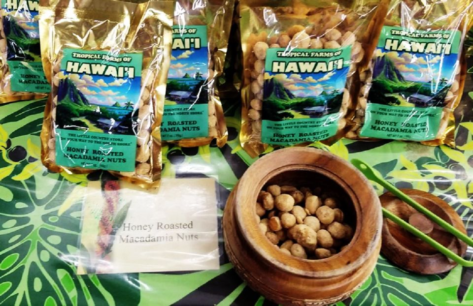 Oahu: 16-Point Guided Circle Tour With Snorkeling and Dole - Pickup and Transportation