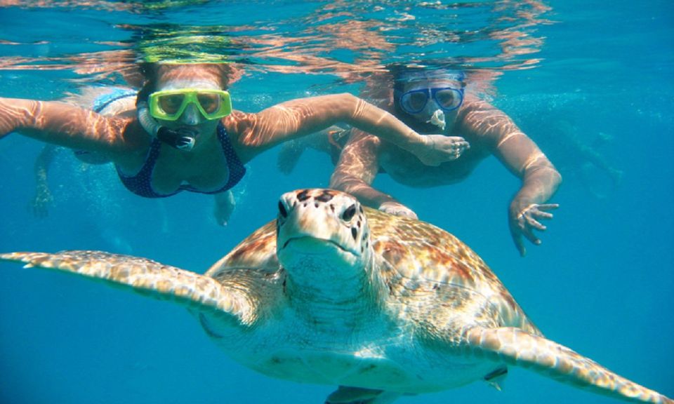 Oahu: 16-Point Guided Circle Tour With Snorkeling and Dole - What to Bring