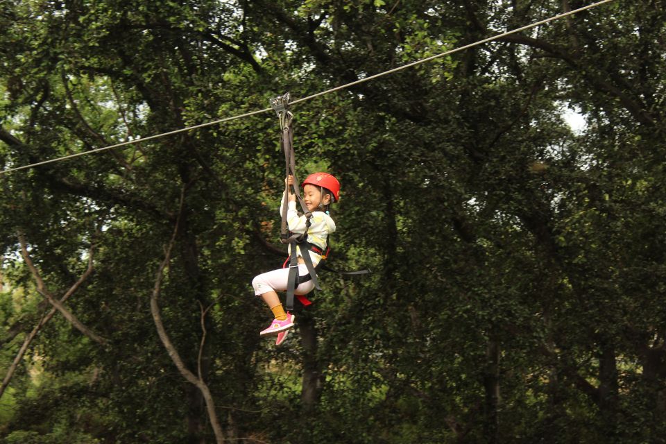Oahu: 3 Ziplines and Coral Crater Tour With Transfer - Zipline Experience Highlights