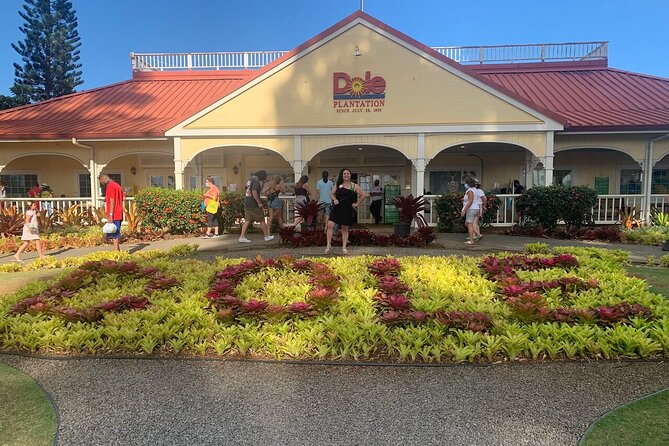 Oahu Allstar Circle Island Tour: Dole, Turtles. Blowhole, Fun - Turtle Beach and Blowhole