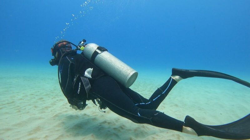 Oahu: Beginner SCUBA Dive at Electric Beach - Who Should Consider This Tour?