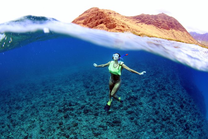 Oahu Catamaran Cruise: Wildlife, Snorkeling and a Hawaiian Meal - Meeting and Pickup Details