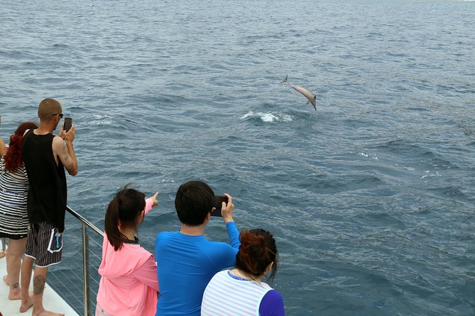 Oahu Catamaran Cruise: Wildlife, Snorkeling and a Hawaiian Meal - Customer Reviews and Testimonials