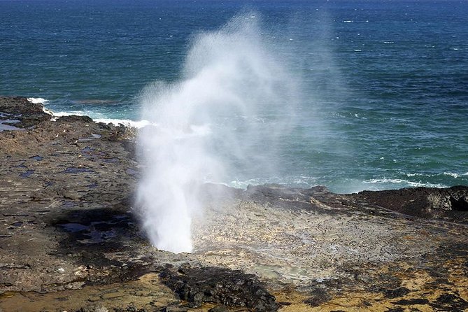 Oahu Circle Island - North Shore Snorkeling Tour (Dole & Temple) - Inclusions and Accessibility