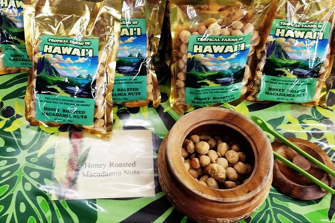 Oahu Circle Island - North Shore Snorkeling Tour (Dole & Temple) - Traveler Reviews