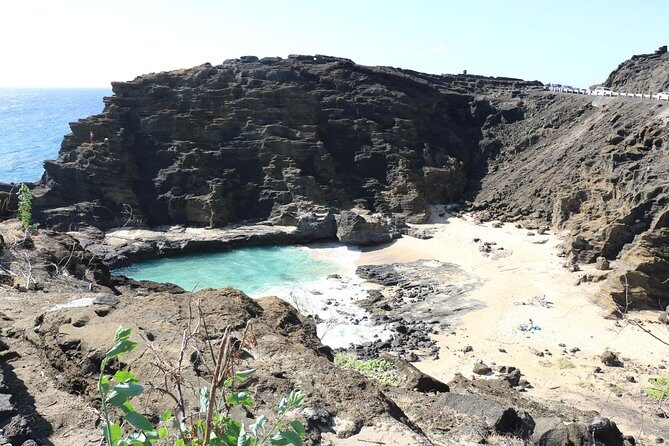 Oahu Circle Island Small Group Tour - Lunch and the North Shore: Local Flavors and Surf Culture