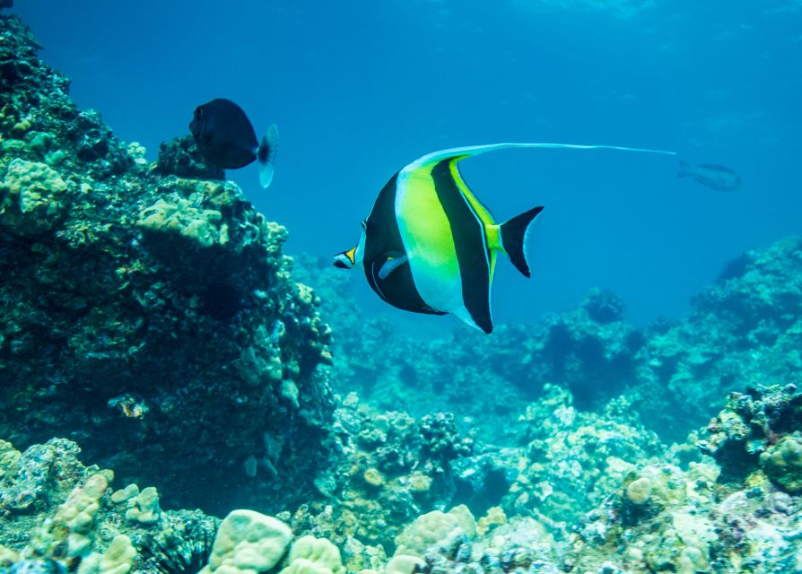 Oahu: Circle Island Snorkeling Tour - Key Points