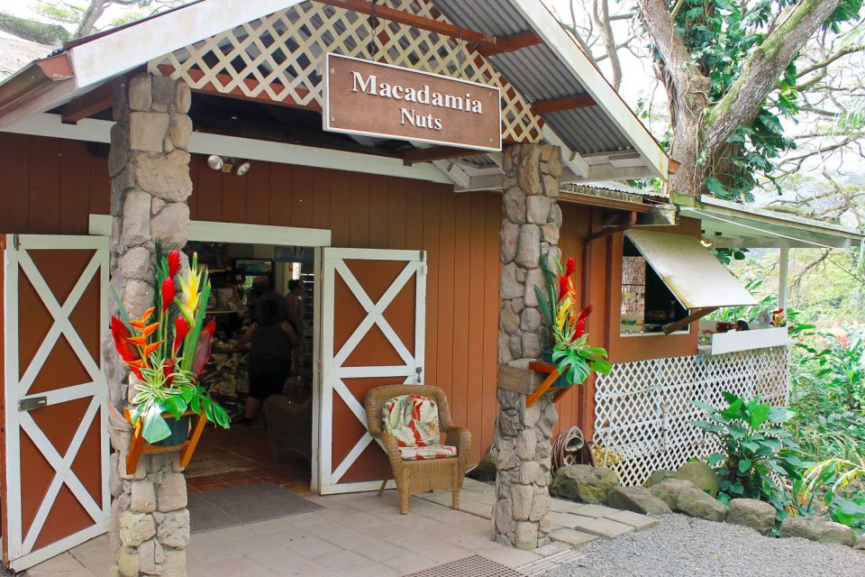 Oahu: Circle Island Snorkeling Tour - Highlights